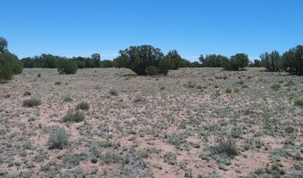 Tbd Rio Ranch, Concho, AZ 85924