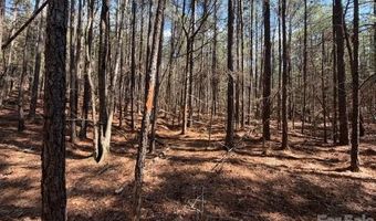 12 68 Acre 99 Rd, Blair, SC 29015