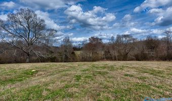 17 Acres County Road 656, Anderson, AL 35610