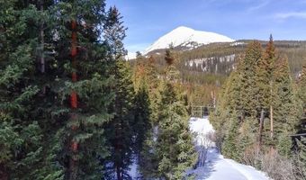 707 CR 674, Breckenridge, CO 80424