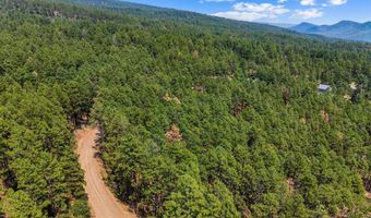432 Blue Ridge Dr, Bayfield, CO 81122