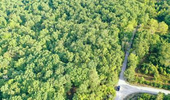 County Road P-305, Ava, MO 65608