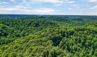 2926 Bryant Ridge Rd, Baxter, TN 38544