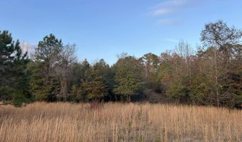 11 Acres RISER MILL ROAD Lot 11 Acres, Alpine, AL 35014