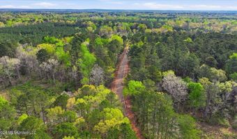 Harrisville Braxton Road, Braxton, MS 39044