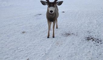 31 CUTOFF Rd, Daniel, WY 83115