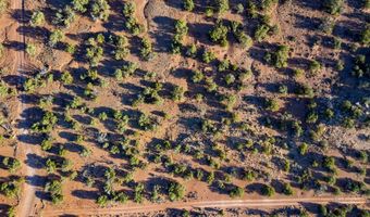 77 CR N8604, Concho, AZ 85924