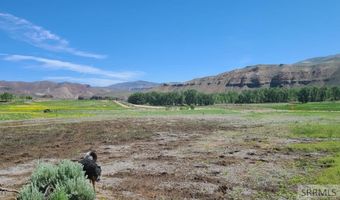 5 Homestead Trl, Challis, ID 83226