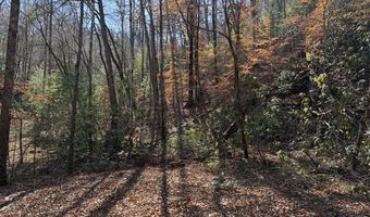 1834 Bristol Ave, Andrews, NC 28901