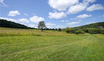 9085 Old State Rd, Angelica, NY 14709