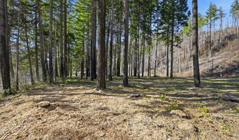 53189 MCKENZIE Hwy, Blue River, OR 97413