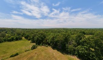 County Road 113, Alton, MO 65606