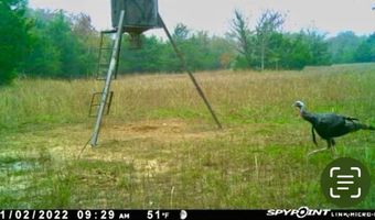 Lake OZZIE COBB 102-B, Antlers, OK 74523