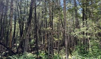 N14675 Lanfear Rd, Amberg, WI 54102