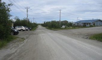 193 Blackberry St, Bethel, AK 99559