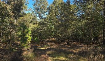 194146 N 4223 Rd, Antlers, OK 74523