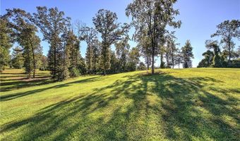 3931 Upper Bethany Rd, Ball Ground, GA 30107