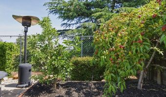 3917 Warbler Dr, Antioch, CA 94509