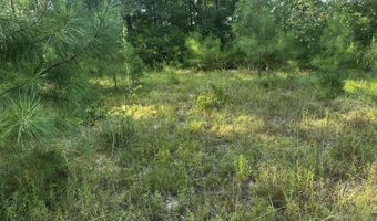 137 Shorter Rd, Braxton, MS 39044