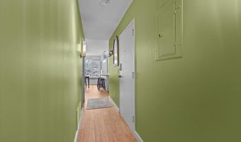 230 College St 8, Burlington, VT 05401