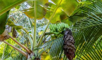 66-815 Kamehameha Hwy, Haleiwa, HI 96712