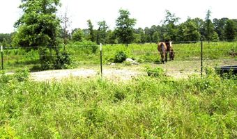 138 Little River 183, Ashdown, AR 71822