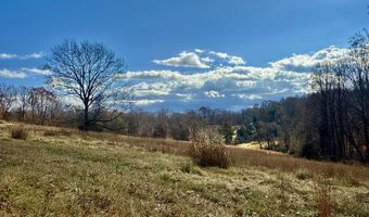 1520 Brittontown Rd, Afton, TN 37616