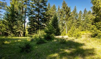 25 Starview Dr, Bigfork, MT 59911