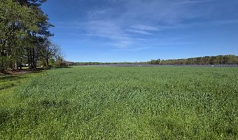 N Nc 111 And 903 Hwy, Albertson, NC 28508