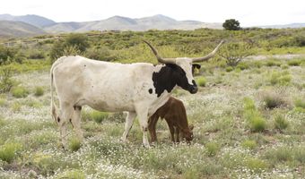 E No name 60 acers Road unit 01 01, Congress, AZ 85332