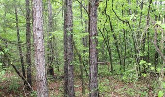 E Mountain Road, Bee Branch, AR 72013