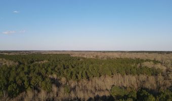U.S. Highway 51, Bogue Chitto, MS 39629