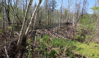 25343 Lens Rd, Aitkin, MN 56447