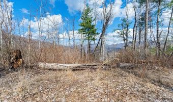 140 Wild Mountain Ln, Barnardsville, NC 28709