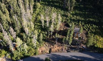 1037 Snow Crest Rd, Alpine Meadows, CA 96146