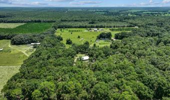 7340 21st Ave, Bell, FL 32619