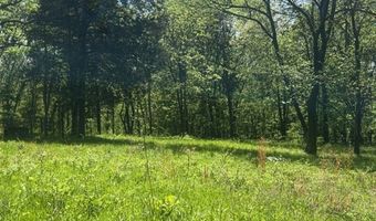 Wolf Hill Rd, Bethpage, TN 37022