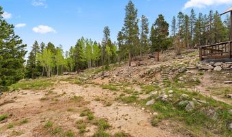 109 Cutforth Rd, Black Hawk, CO 80422