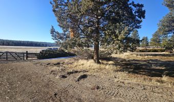 31747 Godowa Springs Rd, Beatty, OR 97621