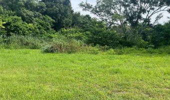 E CLEVELAND STREET E, Apopka, FL 32703