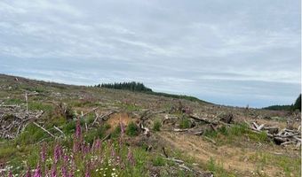 Northrup Creek Rd, Birkenfeld, OR 97016