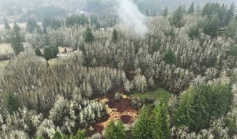 NE 197th Ct, Amboy, WA 98601