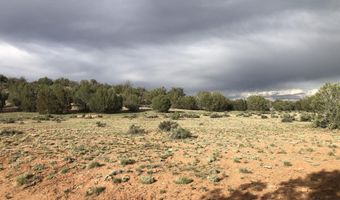 302-17 306 Haywire Rd, Ash Fork, AZ 86320