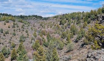1703 Mountain Laurel Dr, Ashton, ID 83420