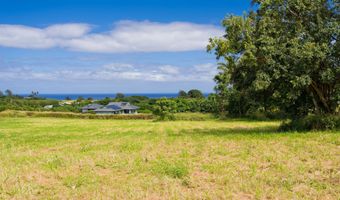 54-1119 MAHIAI Pl, Kapaau, HI 96755