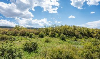 3714 Bear Ridge Rd, Basalt, CO 81621