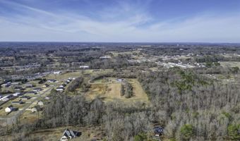 705 Vines St, Arab, AL 35016