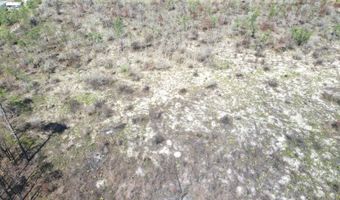NW Isoletta Rd, Altha, FL 32421
