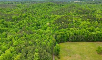 1801 Soap Creek Rd, Ball Ground, GA 30107