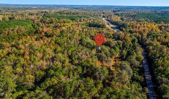 10071 Highway 18 E, Bankston, AL 35542